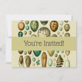  vogeleieren Franse viseieren Kaart (Voorkant)