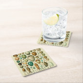  vogeleieren Franse viseieren Kartonnen Onderzetters (Insitu)