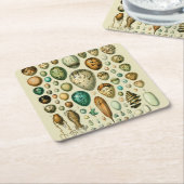  vogeleieren Franse viseieren Kartonnen Onderzetters (Schuin)