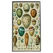  vogeleieren Franse viseieren Klein Cadeauzakje (Achterkant)