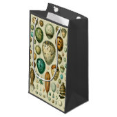  vogeleieren Franse viseieren Klein Cadeauzakje (Voorkant Gekanteld)