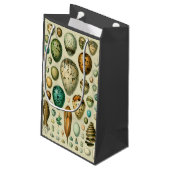  vogeleieren Franse viseieren Klein Cadeauzakje (Achterkant Gekanteld)