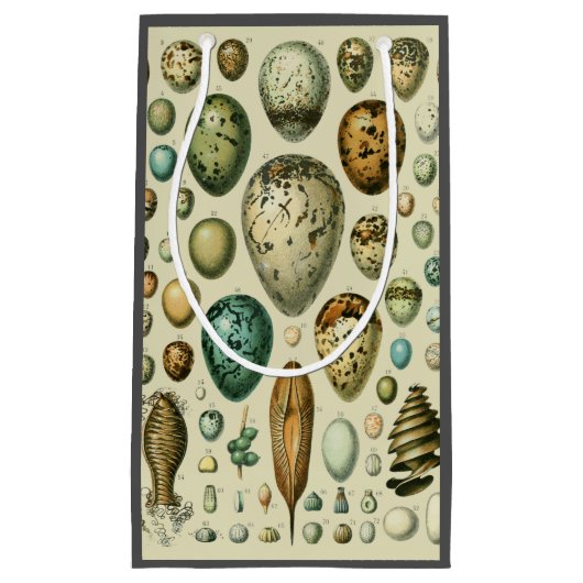  vogeleieren Franse viseieren Klein Cadeauzakje (Voorkant)