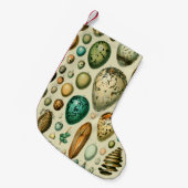  vogeleieren Franse viseieren Kleine Kerstsok (Voorkant (Hangend))