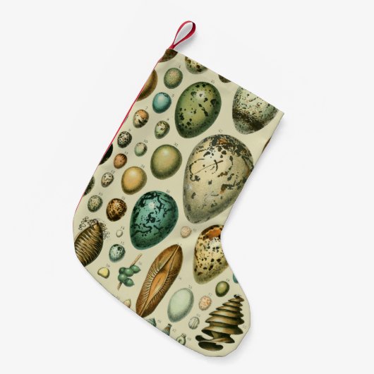 vogeleieren Franse viseieren Kleine Kerstsok (Voorkant (Hangend))