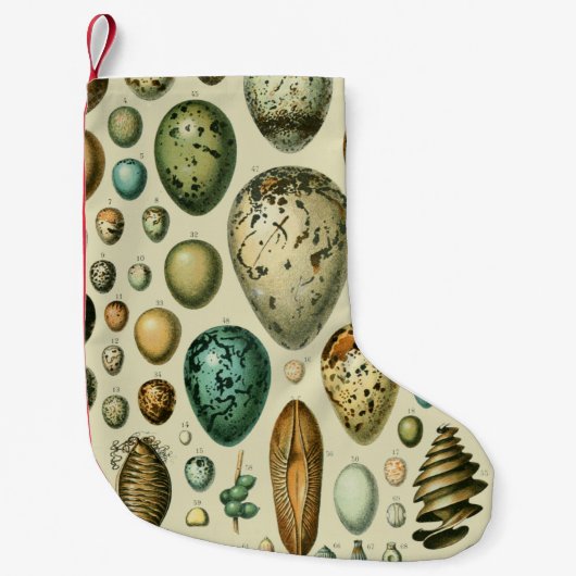  vogeleieren Franse viseieren Kleine Kerstsok (Voorkant)