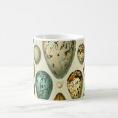  vogeleieren Franse viseieren Koffiemok (Center)