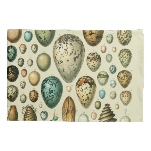 vogeleieren Franse viseieren Kussensloop (Achterkant)