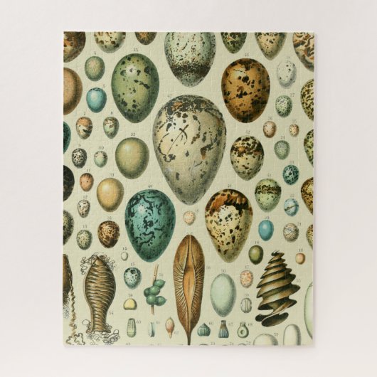  vogeleieren Franse viseieren Legpuzzel (Verticaal)