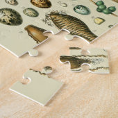 vogeleieren Franse viseieren Legpuzzel (Zijkant)