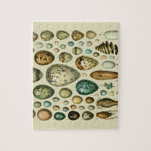  vogeleieren Franse viseieren Legpuzzel (Verticaal)