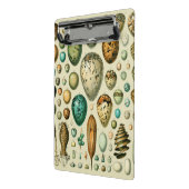 vogeleieren Franse viseieren Mini Klembord (Angled2)