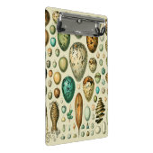 vogeleieren Franse viseieren Mini Klembord (Schuin)