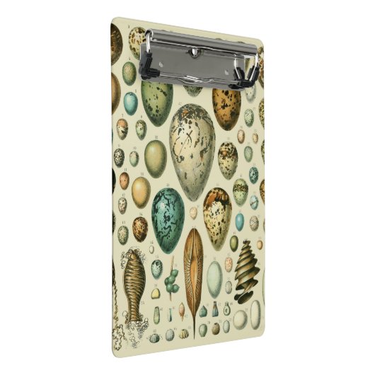  vogeleieren Franse viseieren Mini Klembord (Schuin)