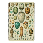 vogeleieren Franse viseieren Mini Klembord (Achterkant)