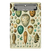  vogeleieren Franse viseieren Mini Klembord (Voorkant)