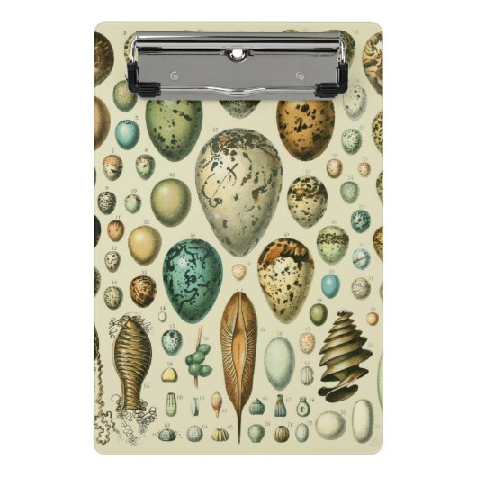 vogeleieren Franse viseieren Mini Klembord (Voorkant)