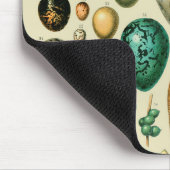  vogeleieren Franse viseieren Muismat (Hoek)