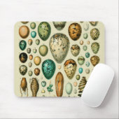  vogeleieren Franse viseieren Muismat (Met muis)