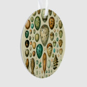  vogeleieren Franse viseieren Ornament (voorkant)