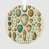  vogeleieren Franse viseieren Ornament (achterkant)