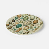  vogeleieren Franse viseieren Papieren Bordje (Gekanteld)