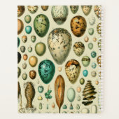  vogeleieren Franse viseieren Planner