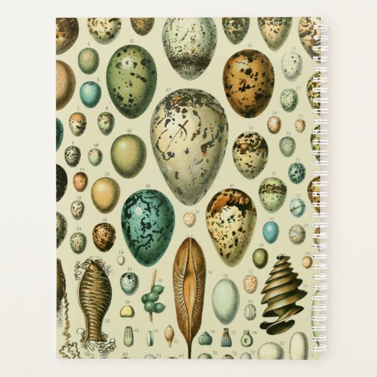  vogeleieren Franse viseieren Planner (Achterkant)