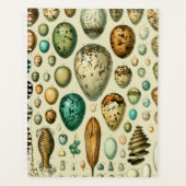  vogeleieren Franse viseieren Planner