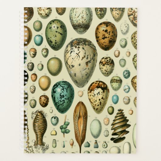  vogeleieren Franse viseieren Planner (Voorkant)