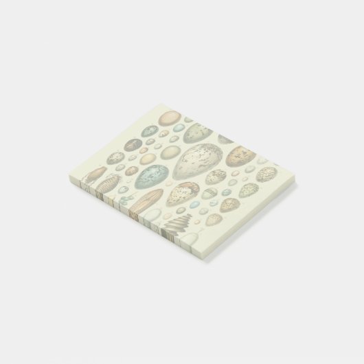  vogeleieren Franse viseieren Post-it® Notes (Schuin)