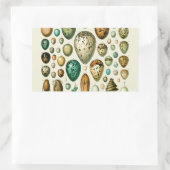 vogeleieren Franse viseieren Rechthoekige Sticker (Tas)