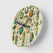  vogeleieren Franse viseieren Ronde Klok (Hoek)