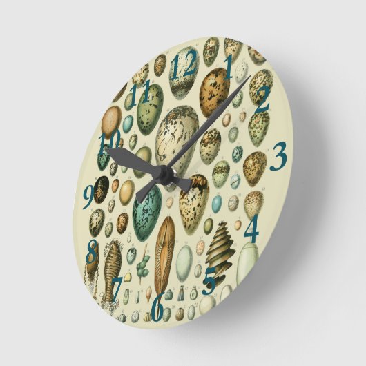  vogeleieren Franse viseieren Ronde Klok (Hoek)