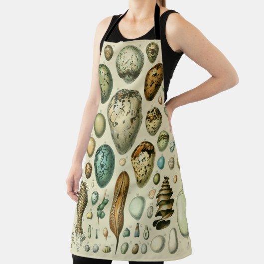  vogeleieren Franse viseieren Schort (Insitu)