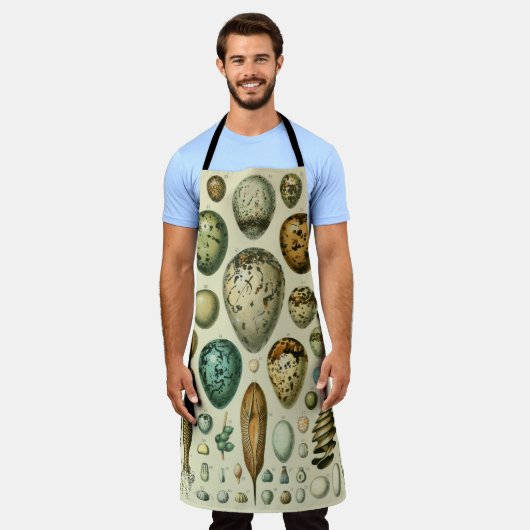 vogeleieren Franse viseieren Schort (Gedragen)