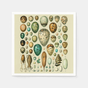 vogeleieren Franse viseieren Servet