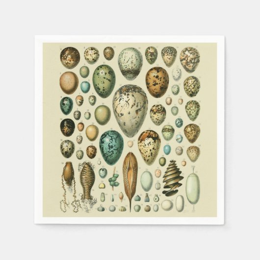  vogeleieren Franse viseieren Servet (Voorkant)