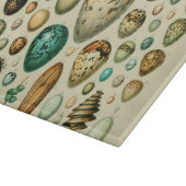 vogeleieren Franse viseieren Snijplank (Hoek)