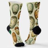  vogeleieren Franse viseieren Sokken (Gebogen)