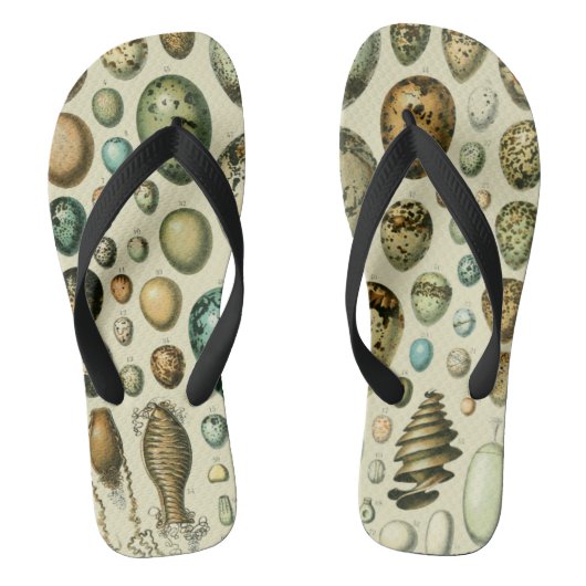  vogeleieren Franse viseieren Teenslippers (Voetbed)