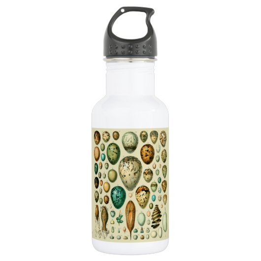  vogeleieren Franse viseieren Waterfles (Voorkant)