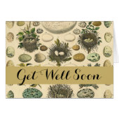  vogeleieren met nestkunst (Voorkant Horizontaal)