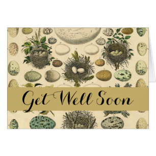 vogeleieren met nestkunst