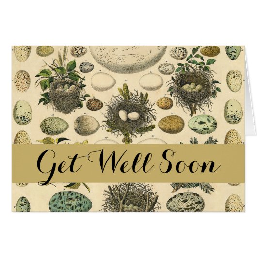 vogeleieren met nestkunst (Voorkant Horizontaal)