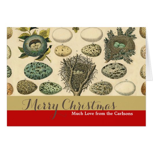  vogeleieren met nestkunst (Voorkant Horizontaal)