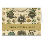  vogeleieren met nestkunst (Voorkant Horizontaal)