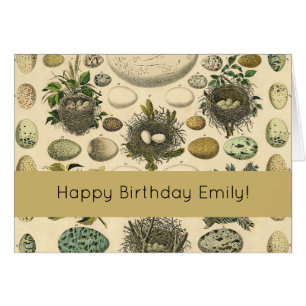 vogeleieren met nestkunst