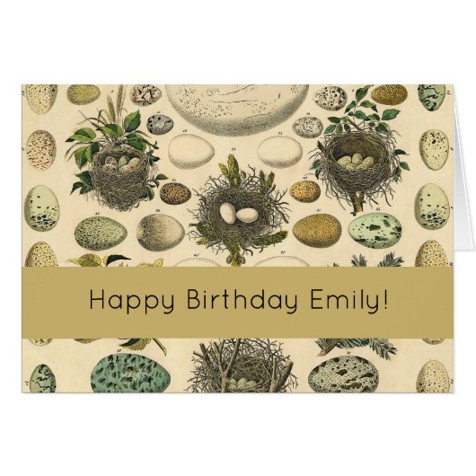 vogeleieren met nestkunst (Voorkant Horizontaal)