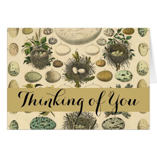  vogeleieren met nestkunst (Voorkant Horizontaal)